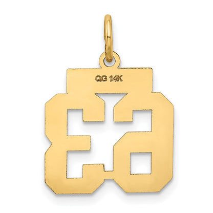 14K Gelbgold Klein Satiniert Zahl 63 Charm