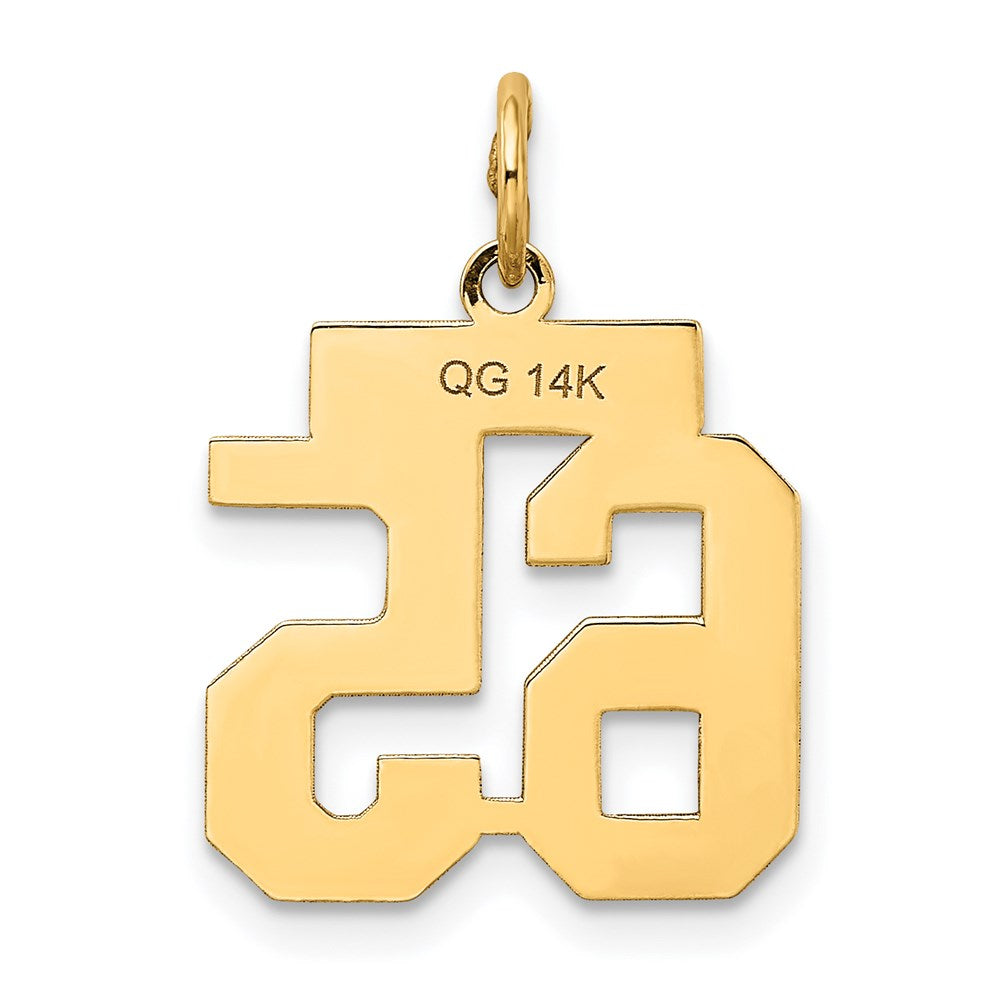 14K Gelbgold 14K Klein Satiniert Zahl 65 Charm