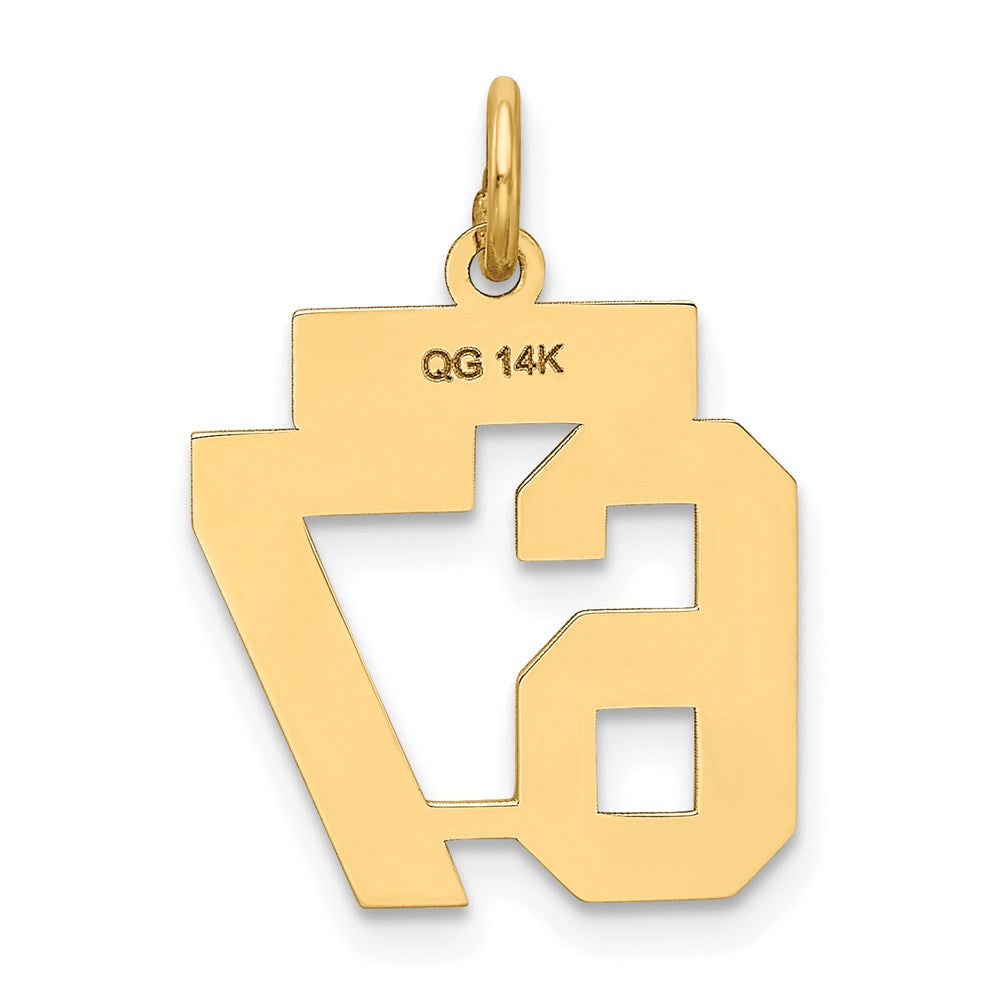 14K Gelbgold Klein Satiniert Zahl 67 Charm
