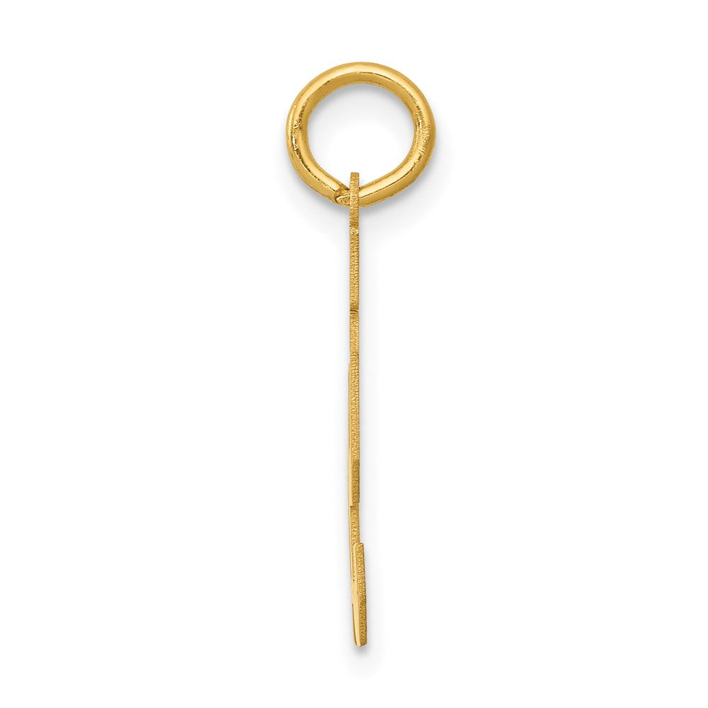 14K Gelbgold 14K Klein Satiniert Zahl 91 Charm