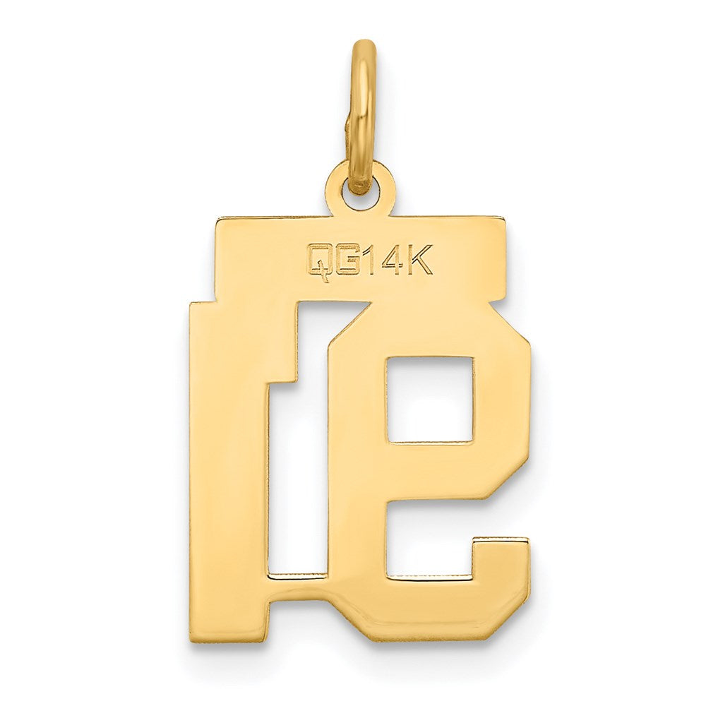 14K Gelbgold 14K Klein Satiniert Zahl 91 Charm