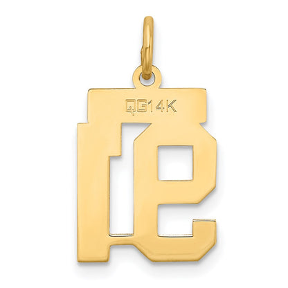 14K Gelbgold 14K Klein Satiniert Zahl 91 Charm