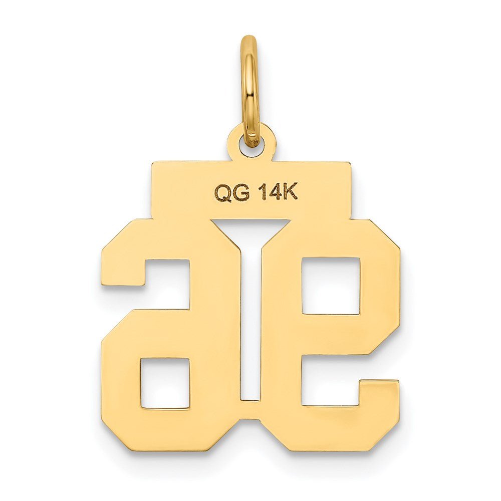 14K Gelbgold Klein Satiniert Zahl 96 Charm