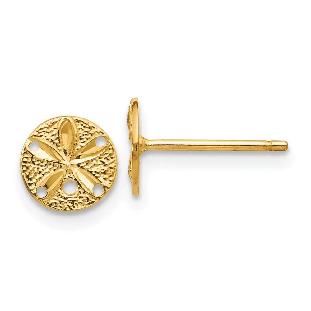 14K Gelbgold Diamantiert Sand Dollar Ohrstecker