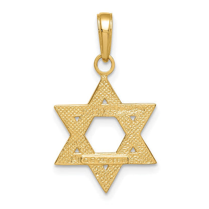 14K Gelbgold Massiv Satiniert Stern Of David Charm
