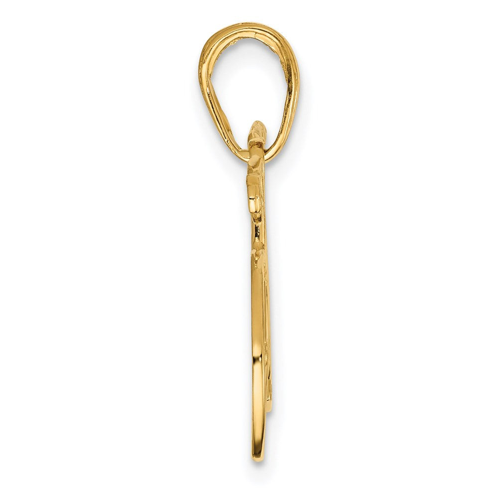 14K Gelbgold Poliert Bicycle Charm