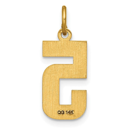 14K Gelbgold Mittel Diamantiert Zahl 5 Charm