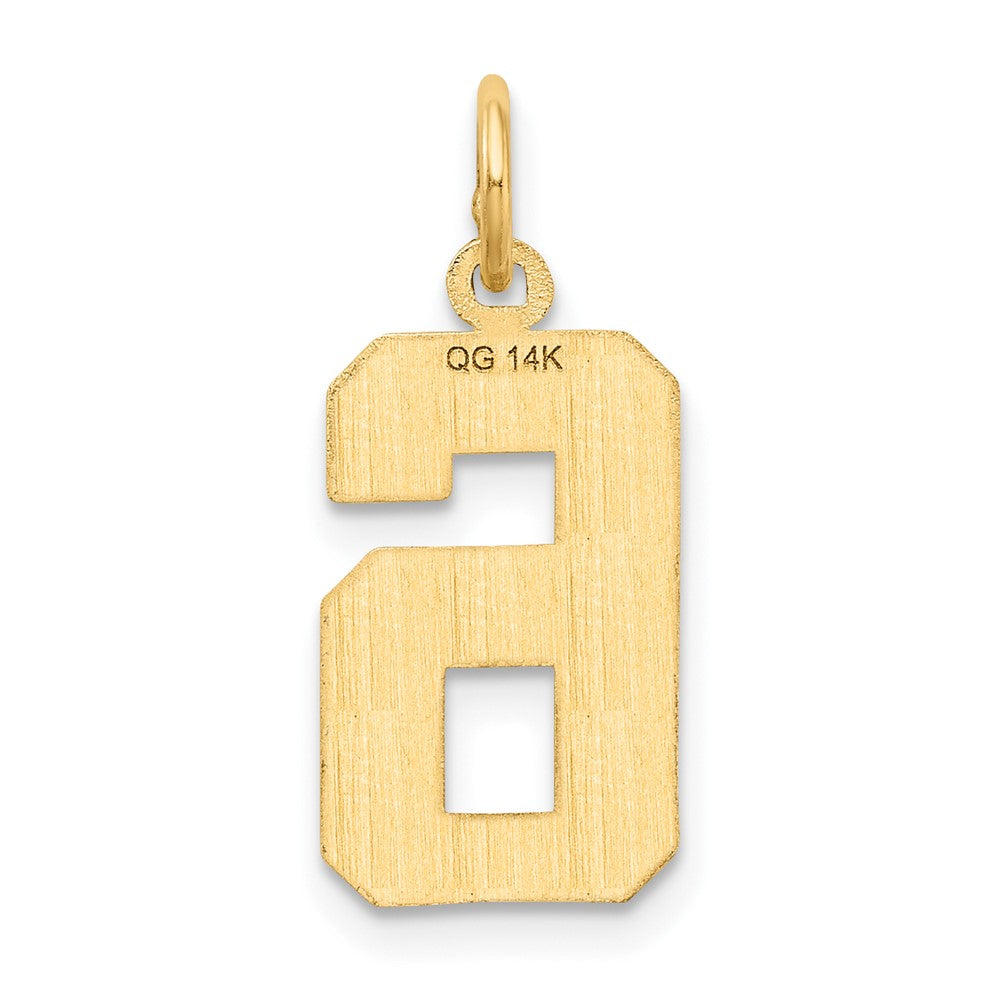 14K Gelbgold Mittel Diamantiert Zahl 6 Charm