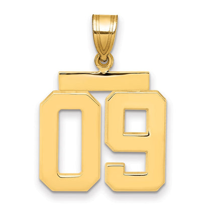 10K Gelbgold Mittel Poliert Zahl 09 Charm