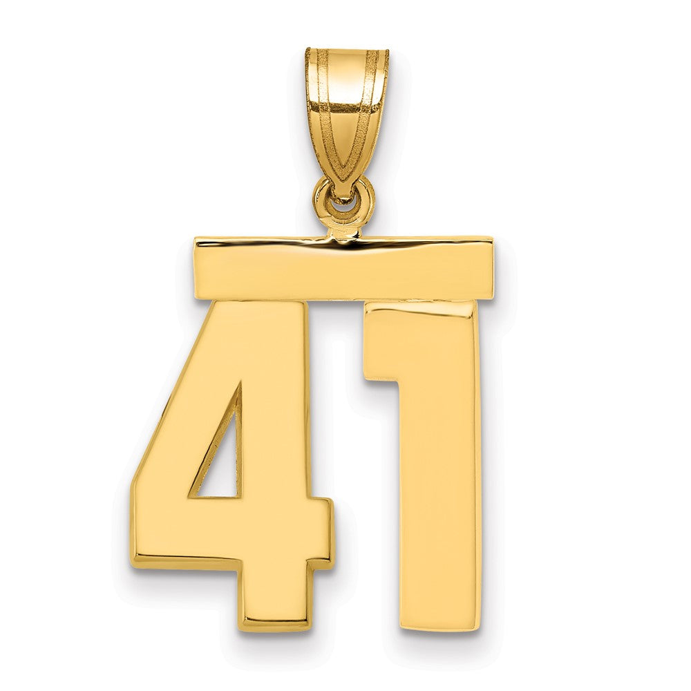 10K Gelbgold Mittel Poliert Zahl 41 Charm