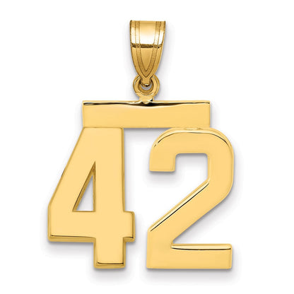 14K Gelbgold Poliert Zahl 42 Charm, Mittelgroß
