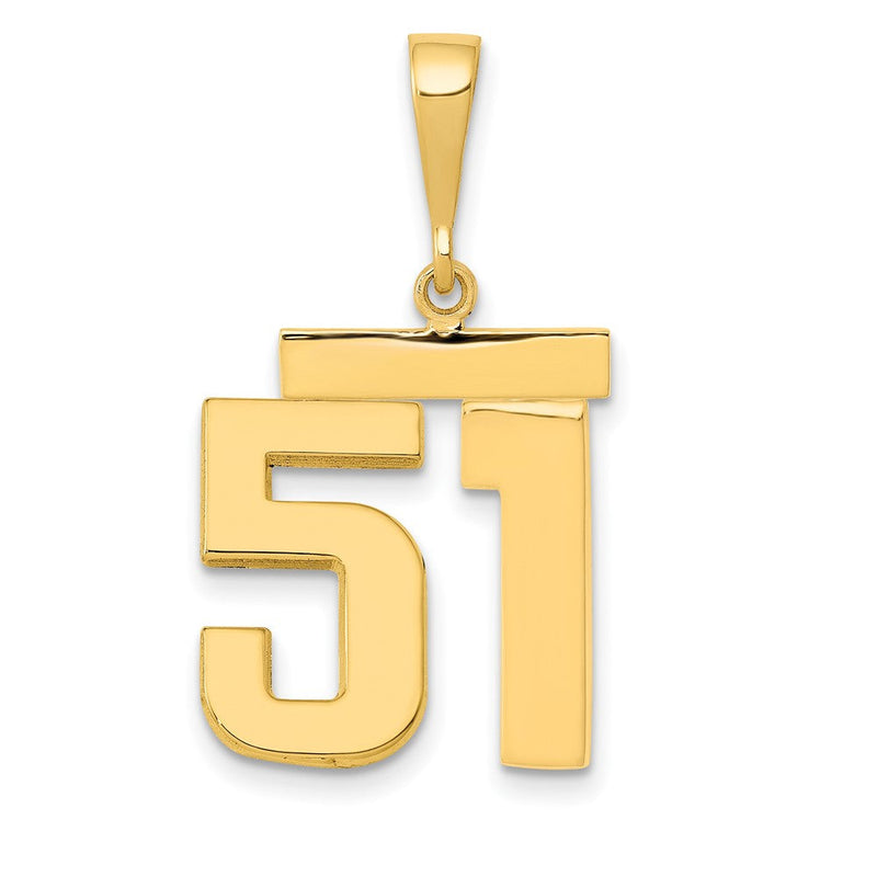 14K Gelbgold Mittlerer Polierter Zahl-51-Charm
