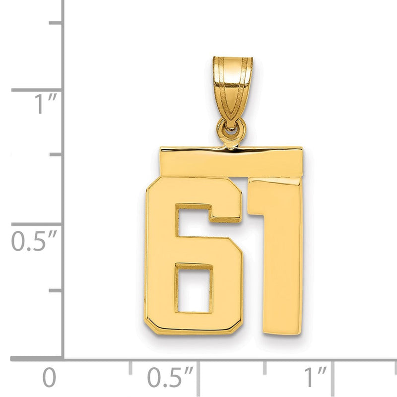 14K Gelbgold Mittelgroßer Polierter Charm Zahl 61
