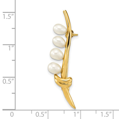 14K Gelbgold Poliert Accented mit 4-5mm Tropfen Weiß Süßwasser Zuchtperle Brosche
