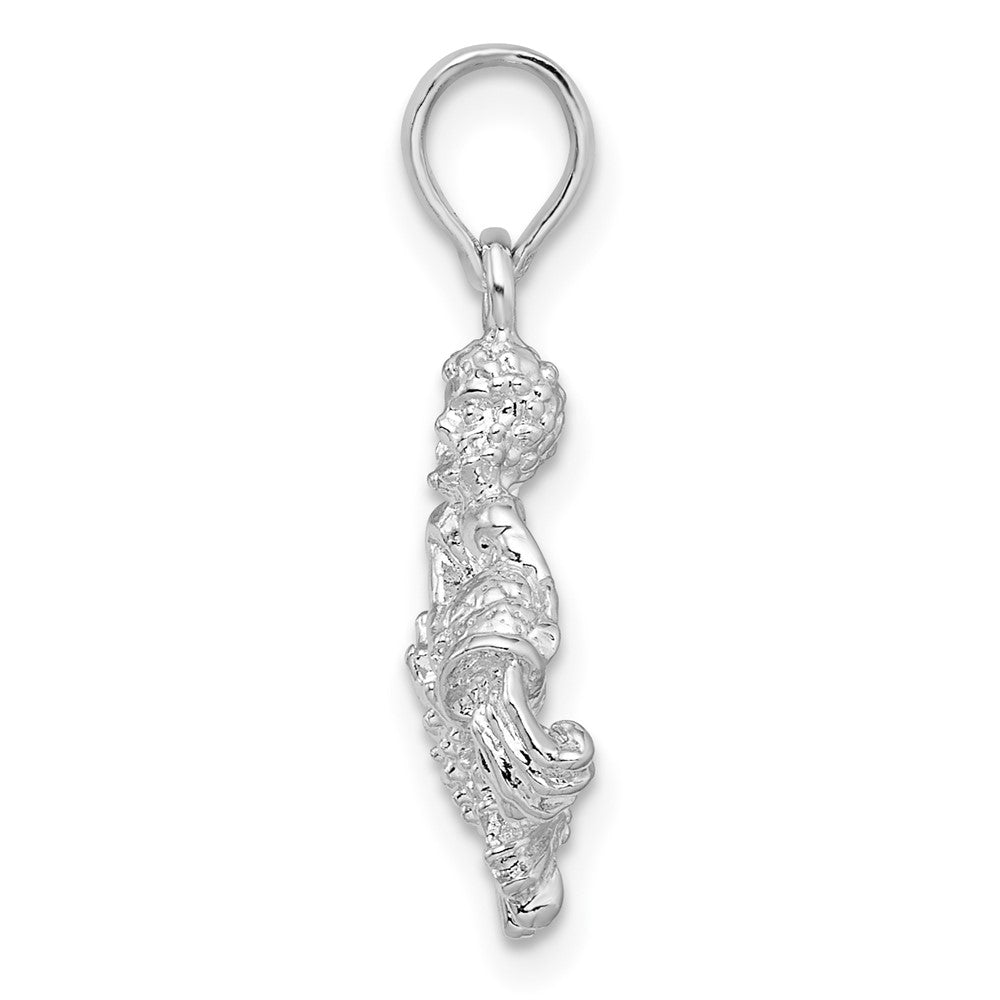 Sterlingsilber De-ani Rhodiniert Poliert 3d Aquarius Tierkreis Anhänger