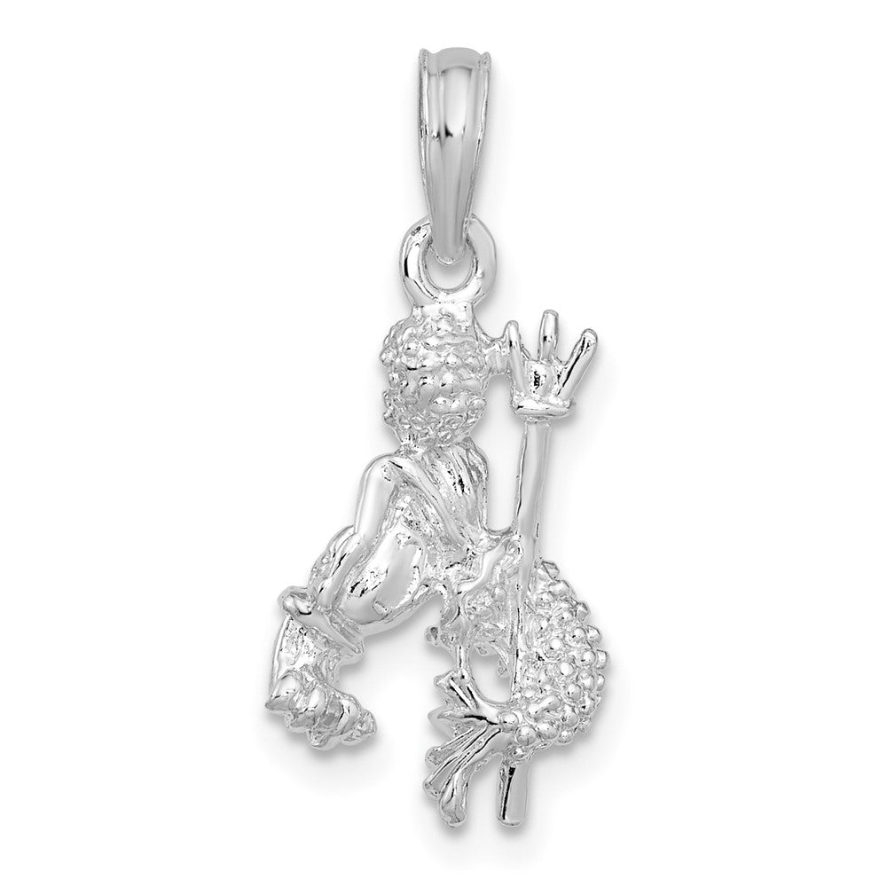 Sterlingsilber De-ani Rhodiniert Poliert 3d Aquarius Tierkreis Anhänger
