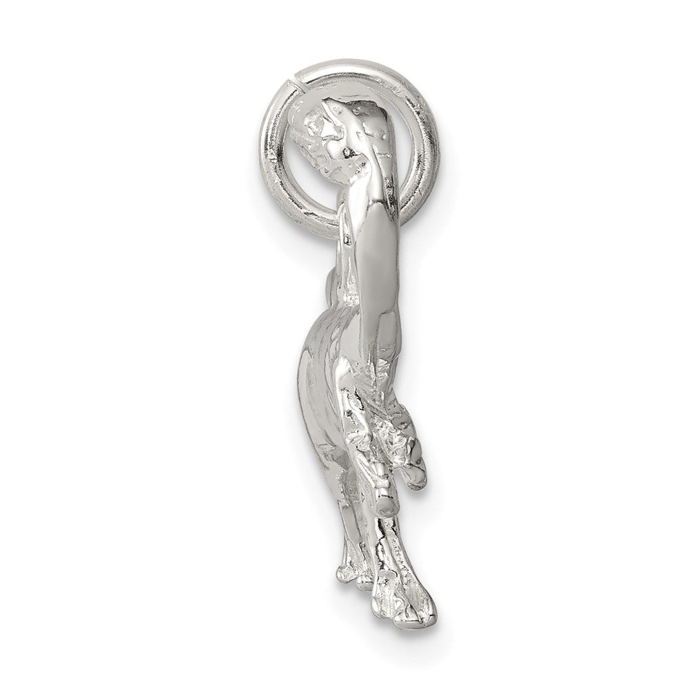 Sterlingsilber Raptor Charm