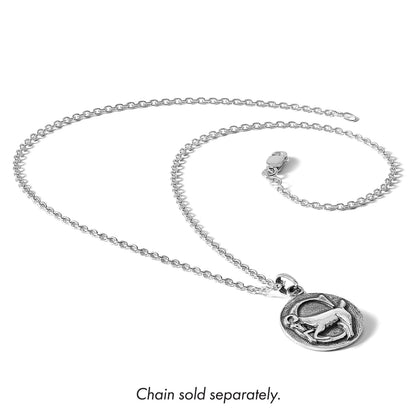 Sterlingsilber Poliert Antik Finish Capricorn Horoscope Tierkreis Anhänger