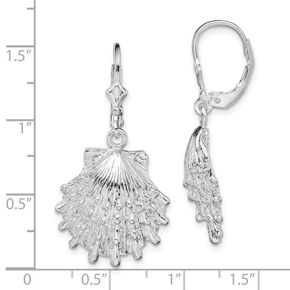 Sterlingsilber Poliert Lions Paw Muschel Ohrhänger mit Brisur