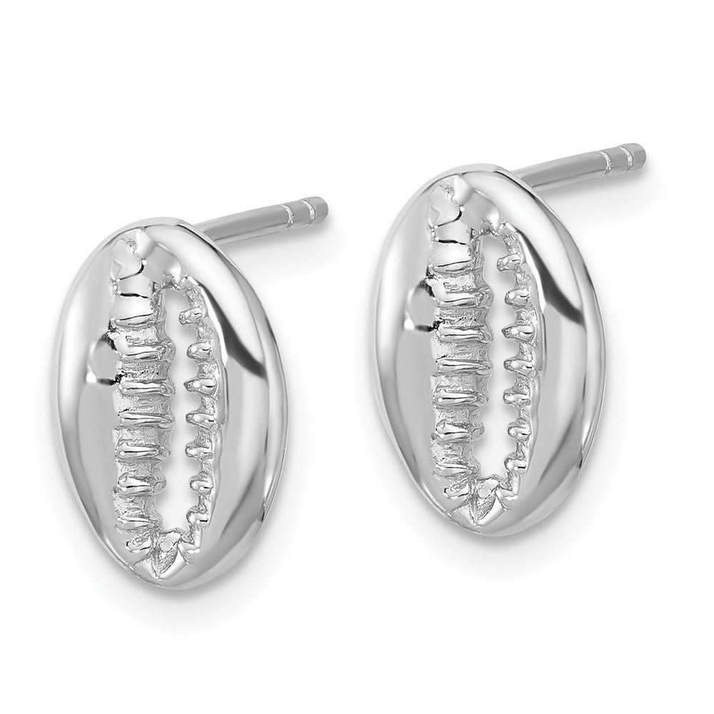 Sterlingsilber Rhodiniert Poliert Cowrie Muschel Ohrstecker