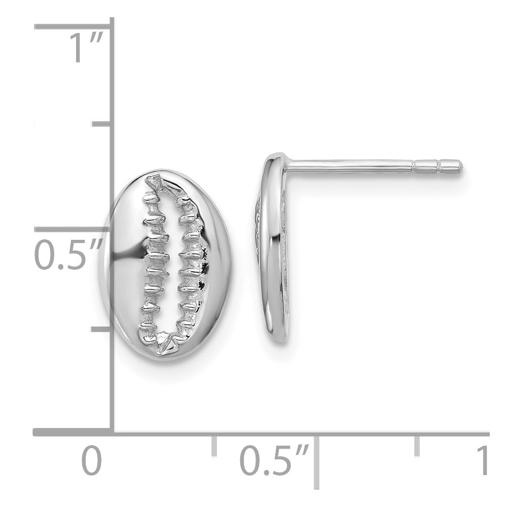 Sterlingsilber Rhodiniert Poliert Cowrie Muschel Ohrstecker