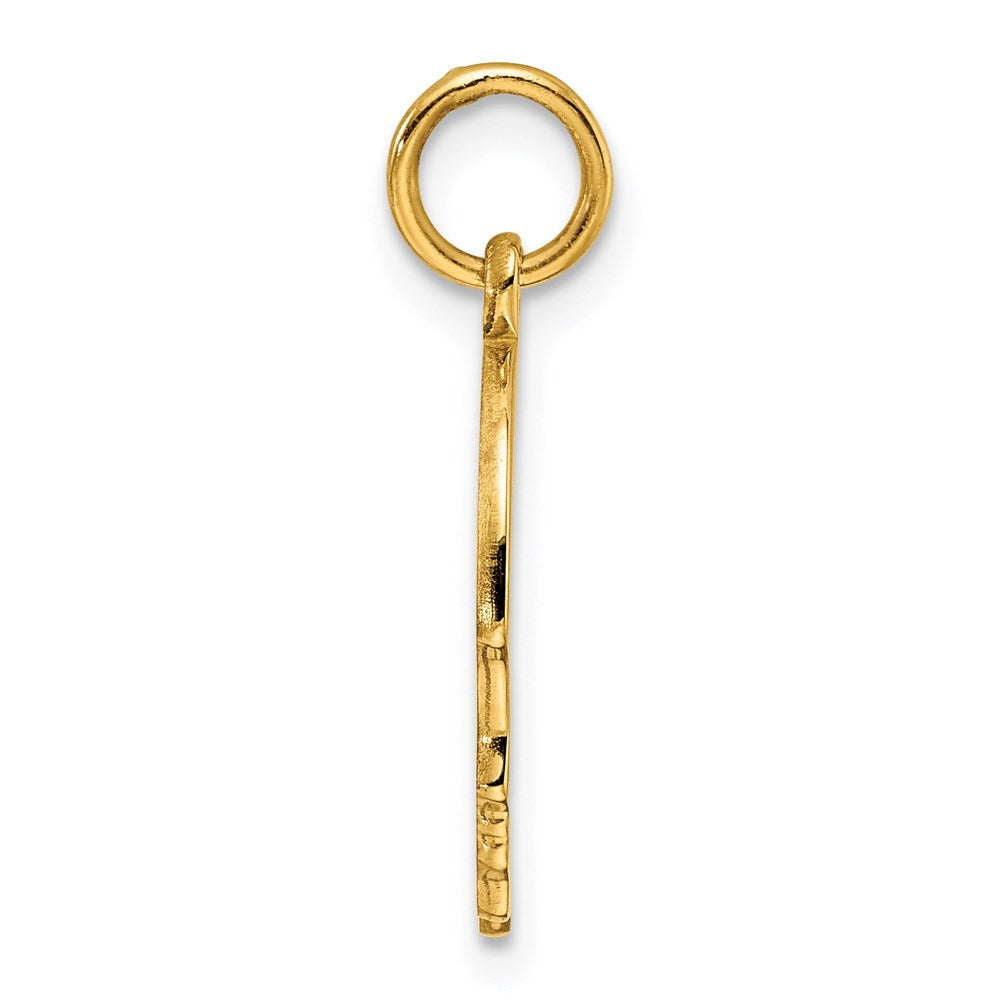 Ss/vergoldet Sterlingsilber Gp Gravierbar Junge Poliert Plättchen Charm