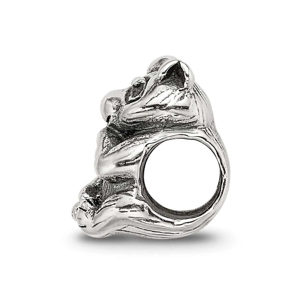 Sterlingsilber Reflections Racoon Perle