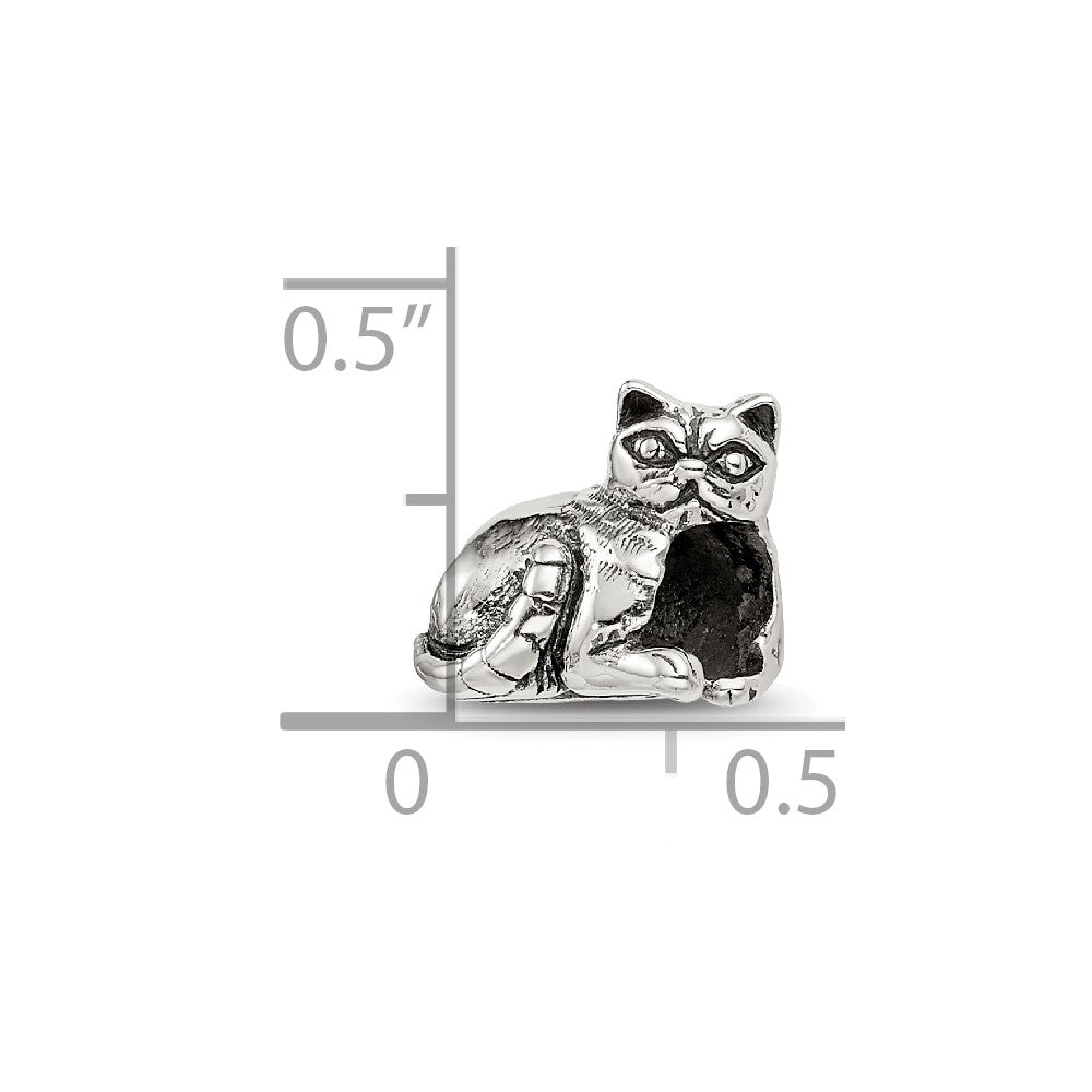 Sterlingsilber Reflections Exotic Shorthair Katze Perle