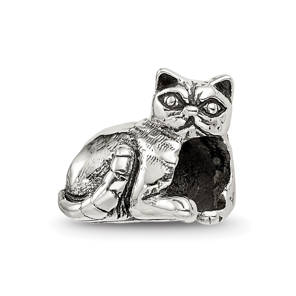 Sterlingsilber Reflections Exotic Shorthair Katze Perle