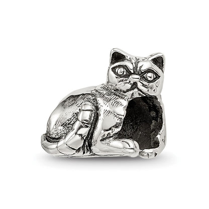 Sterlingsilber Reflections Exotic Shorthair Katze Perle