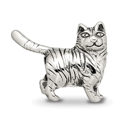 Sterlingsilber Reflections American Shorthair Katze Perle