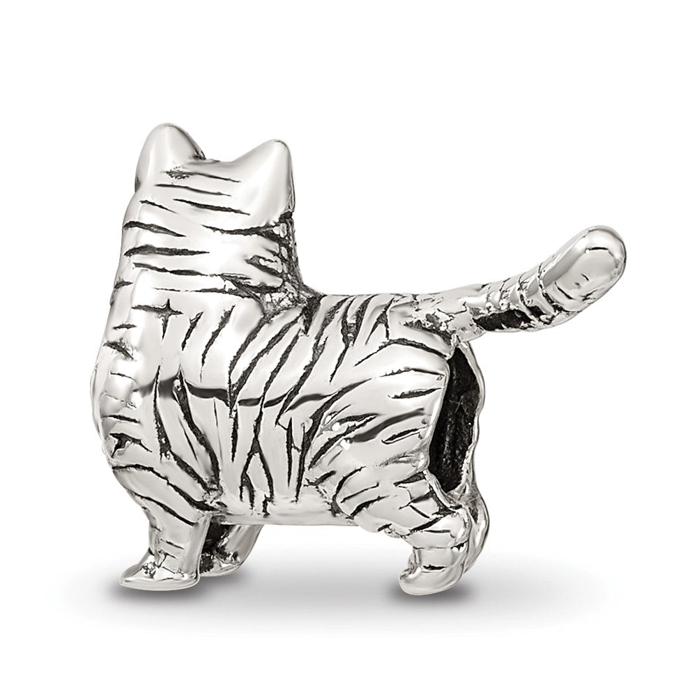 Sterlingsilber Reflections American Shorthair Katze Perle