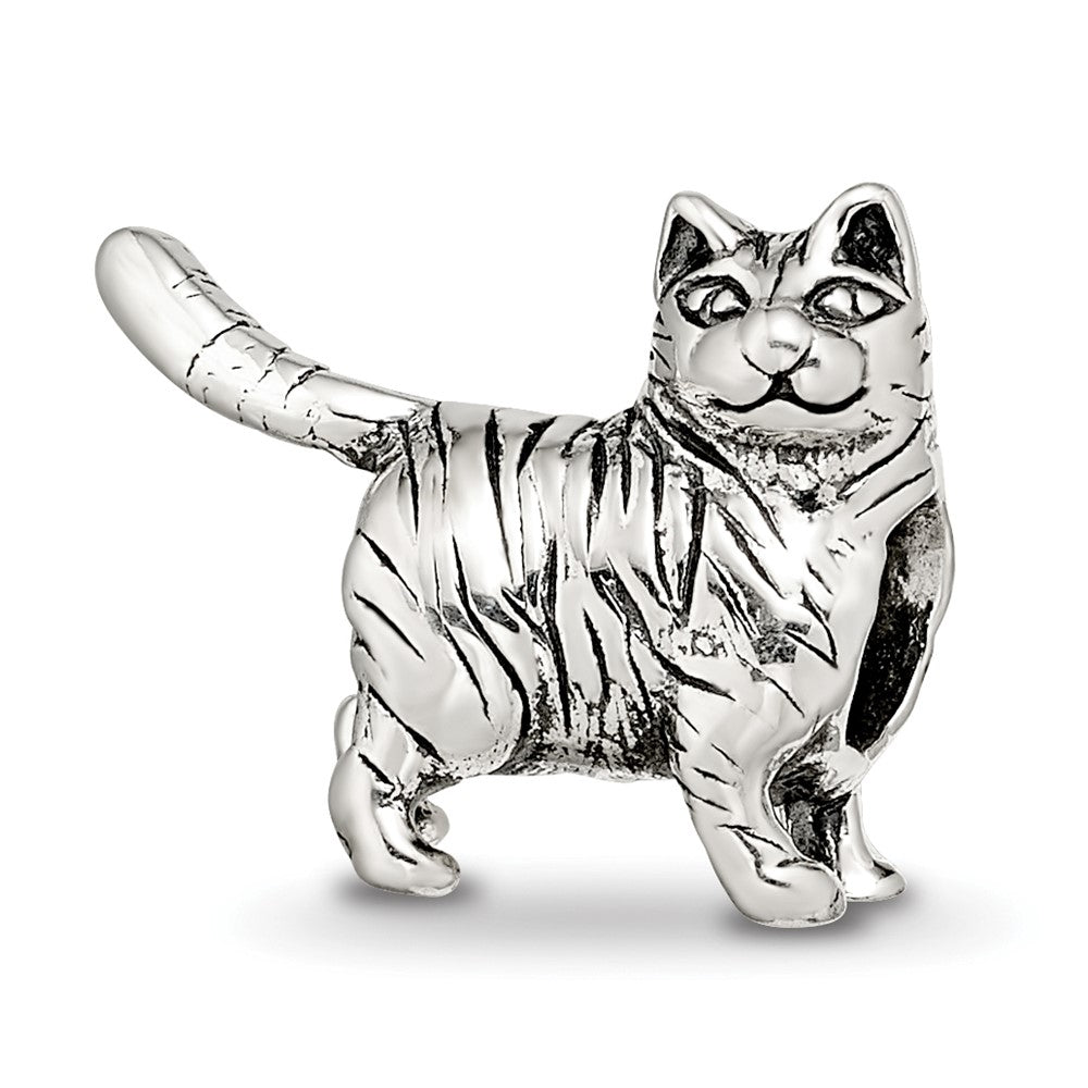 Sterlingsilber Reflections American Shorthair Katze Perle