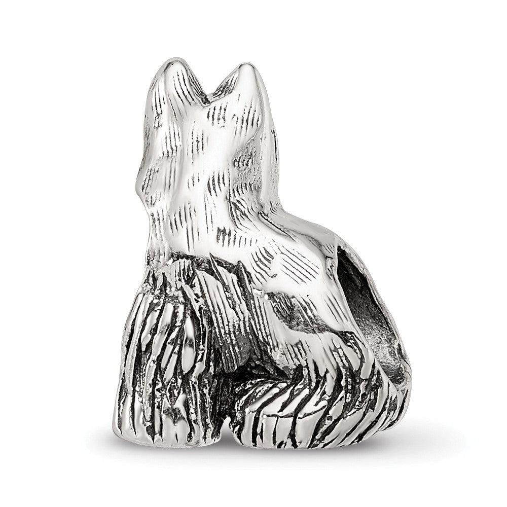 Sterlingsilber Reflections Miniature Schnauzer Perle