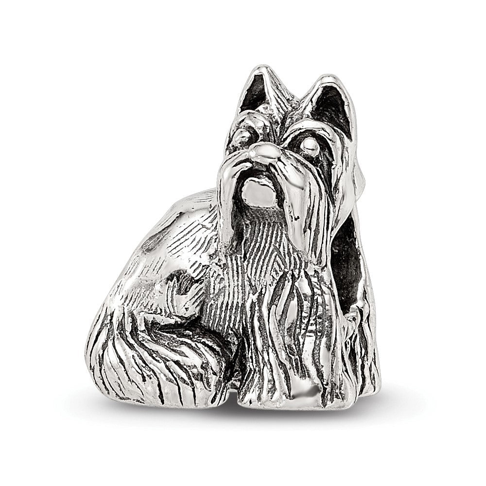 Sterlingsilber Reflections Miniature Schnauzer Perle