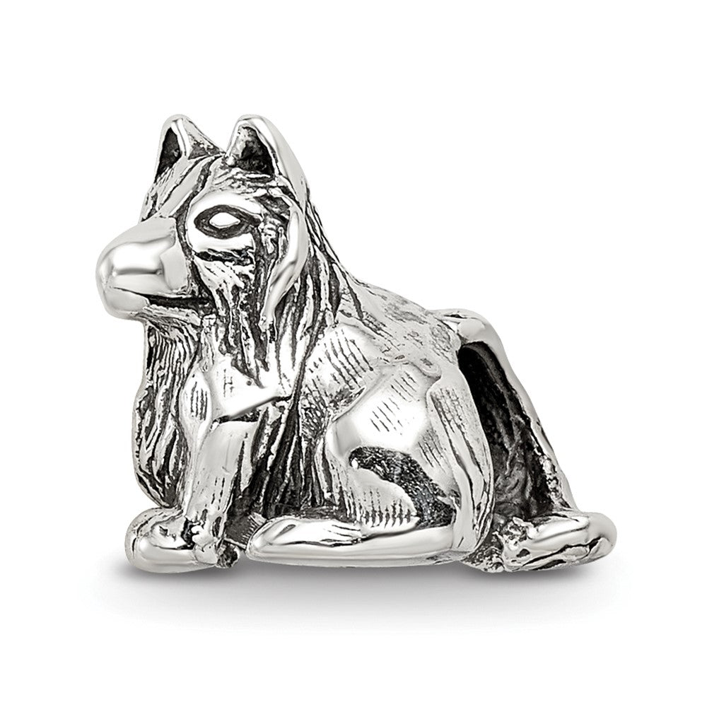 Sterlingsilber Reflections Shetland Sheepdog Perle