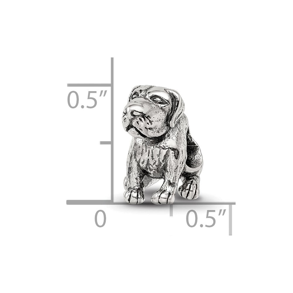 Sterlingsilber Reflections German Shorthaired Pointer Perle