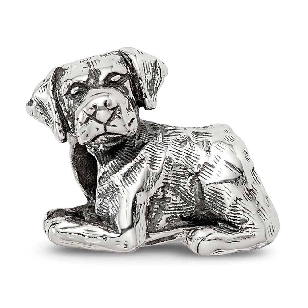 Sterlingsilber Reflections Labrador Retriever Perle