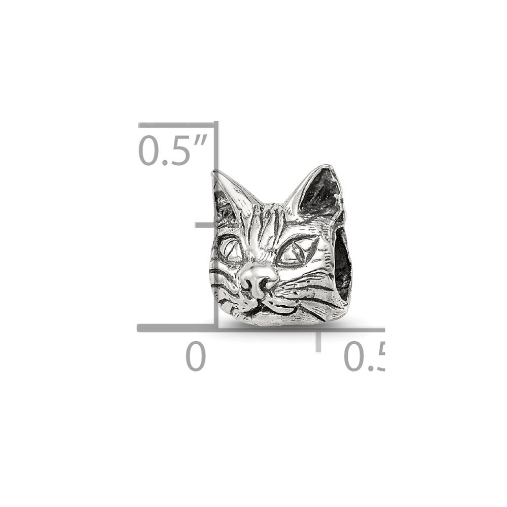Sterlingsilber Reflections Maine Coon Katze Kopf Perle