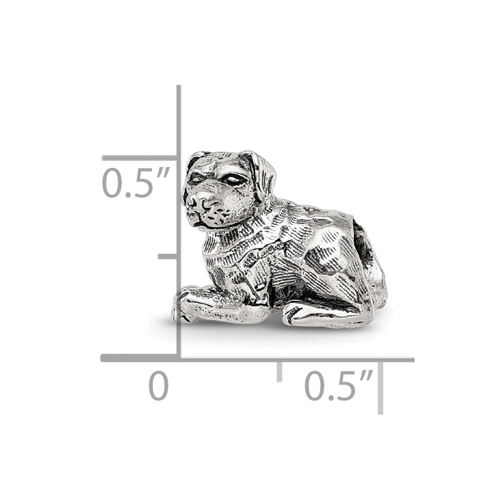 Sterlingsilber Reflections Rottweiler Perle