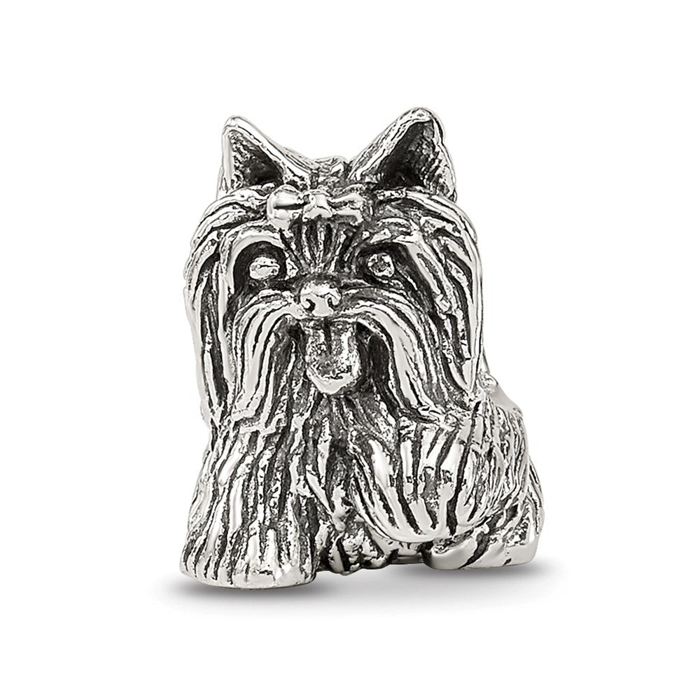 Sterlingsilber Reflections Yorkshire Terrier Perle