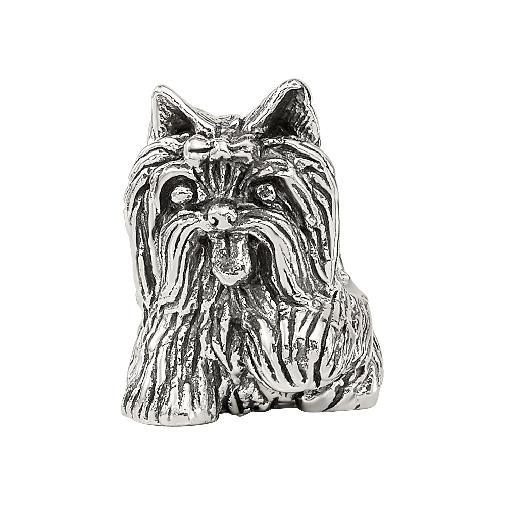 Sterlingsilber Reflections Yorkshire Terrier Perle