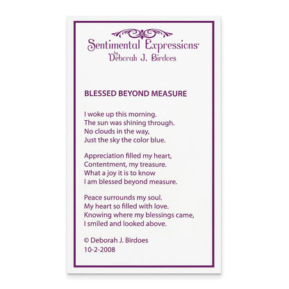Sterlingsilber Sentimental Expressions Vergoldet Gesegnet Beyond Measure 18 Zoll Halskette