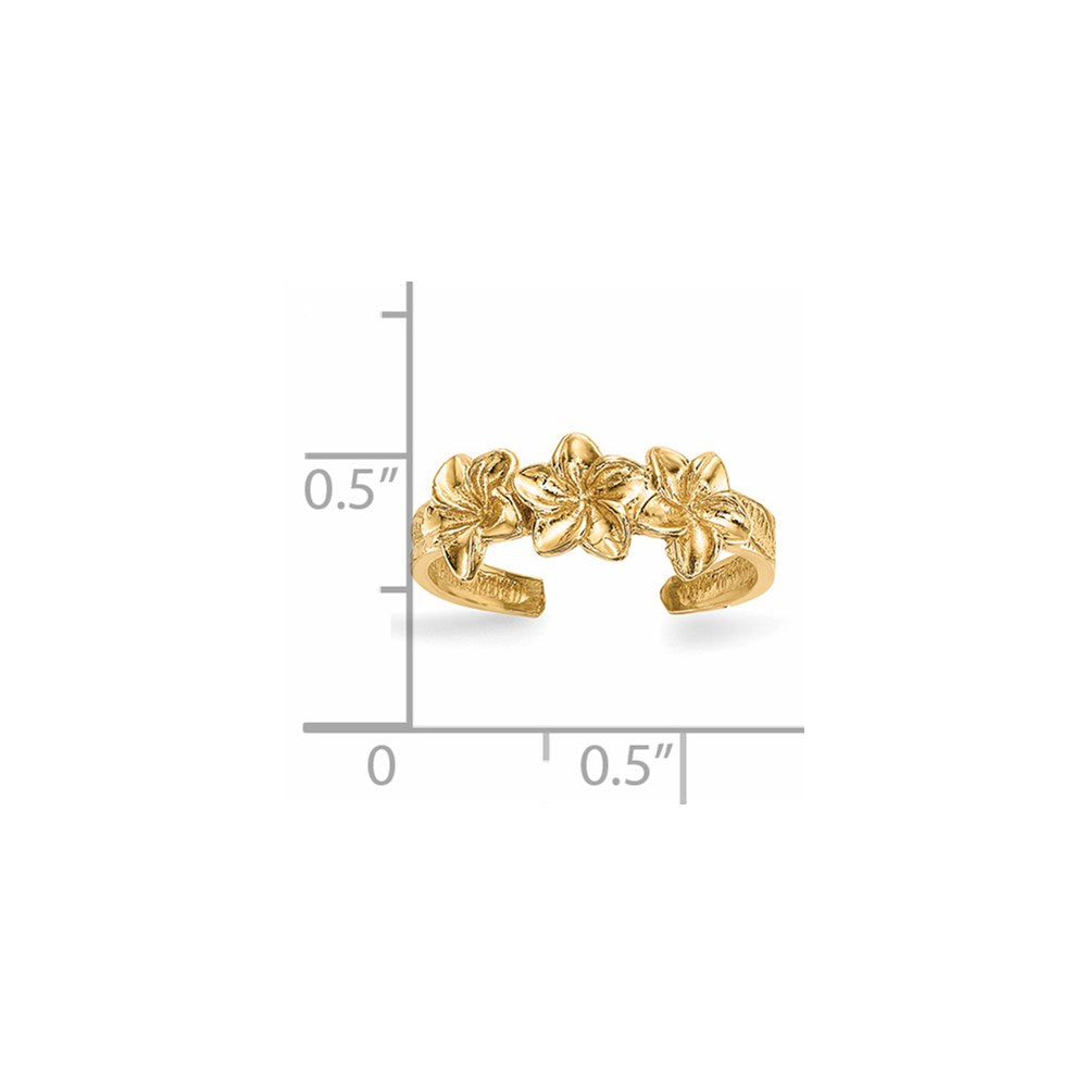 14K Gelbgold Poliert Blumen Zehenring