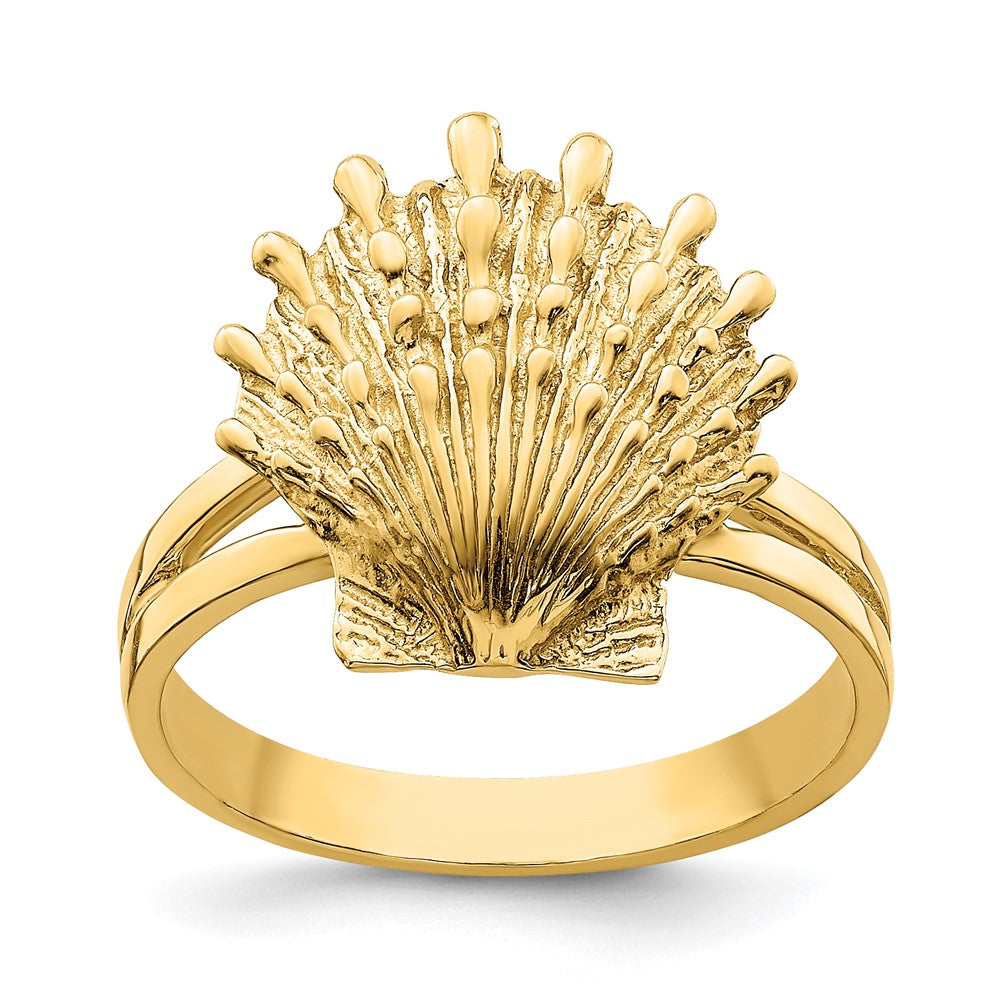 14K Gelbgold Löwenpfote-Muschel-Ring