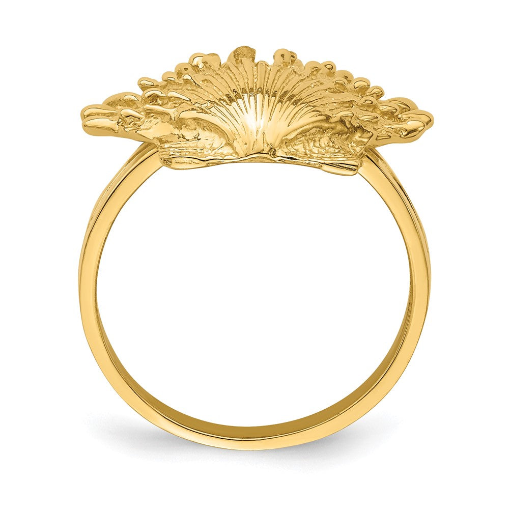 Ring "Löwenpfoten-Muschel" aus 14K Gelbgold