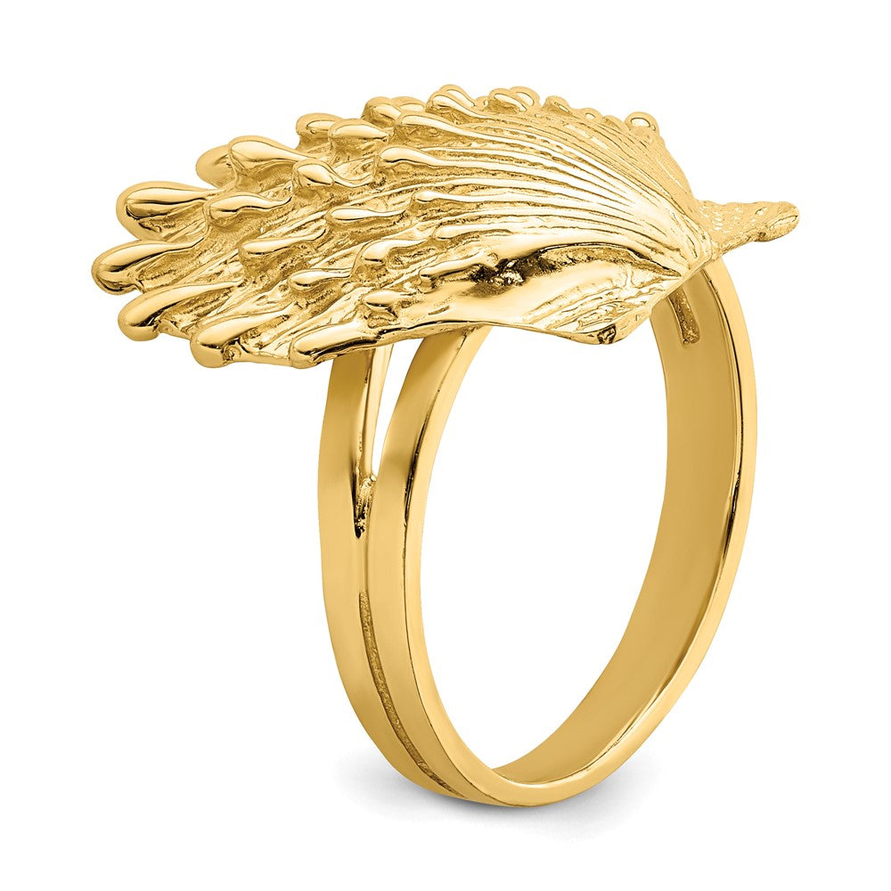 Ring "Löwenpfoten-Muschel" aus 14K Gelbgold