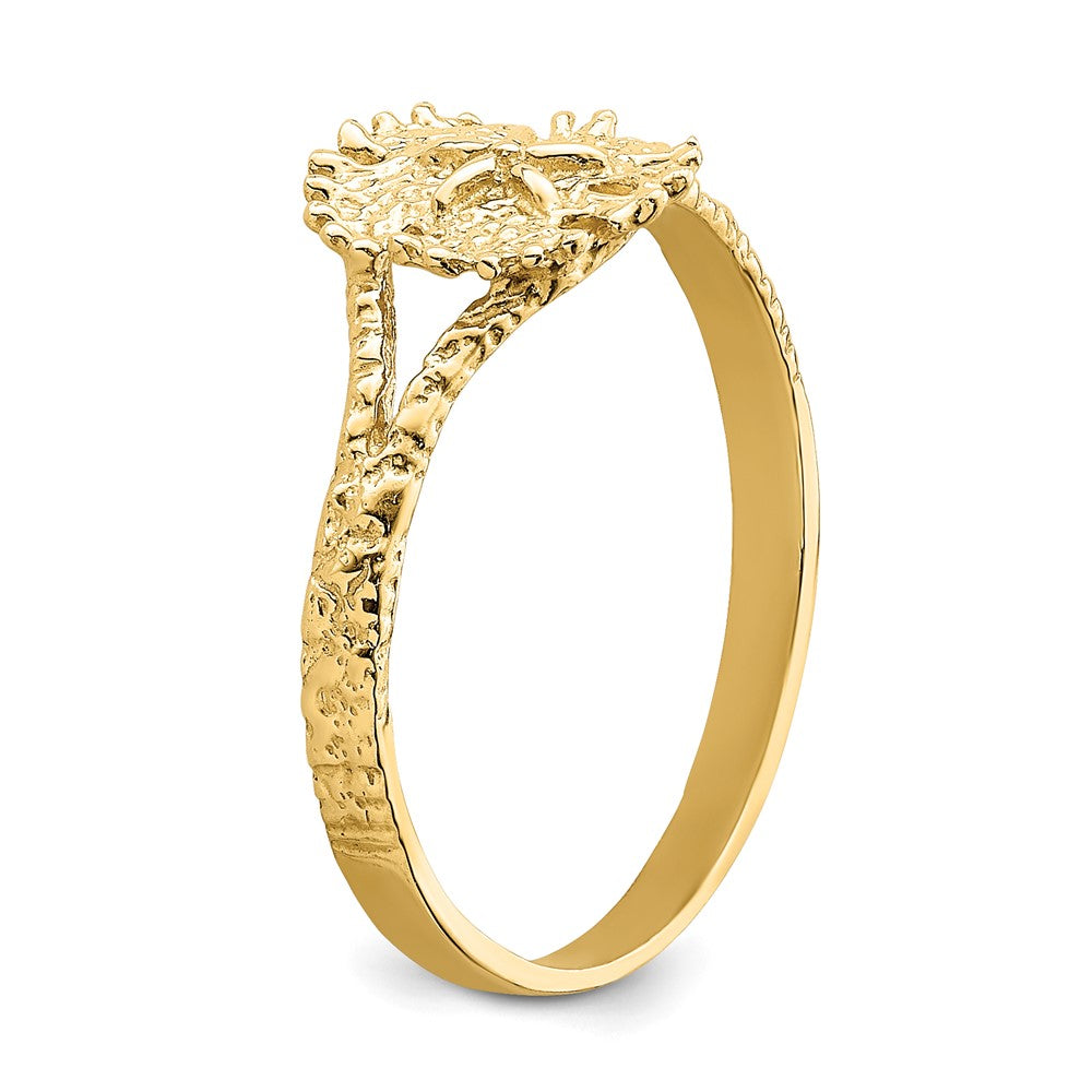 14K Gelbgold Sanddollar-Ring mit texturierter Oberfläche