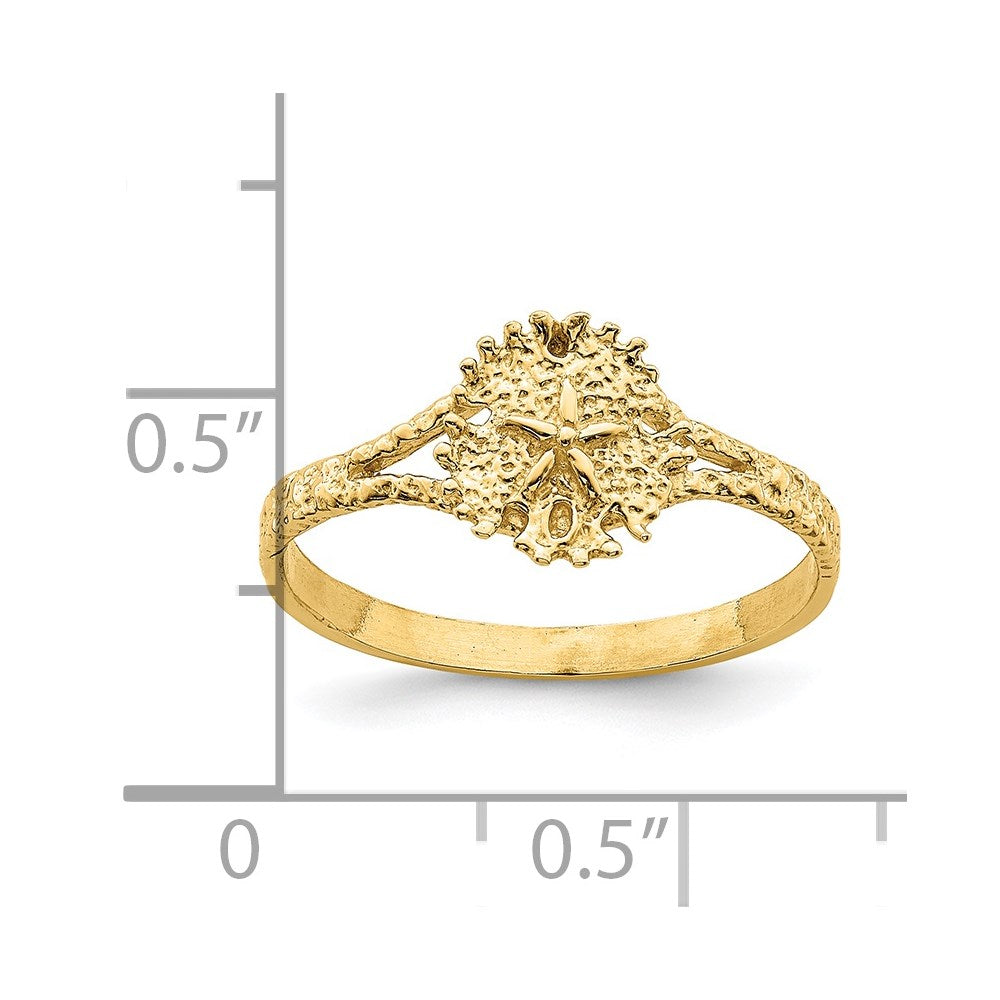14K Gelbgold Sanddollar-Ring mit texturierter Oberfläche