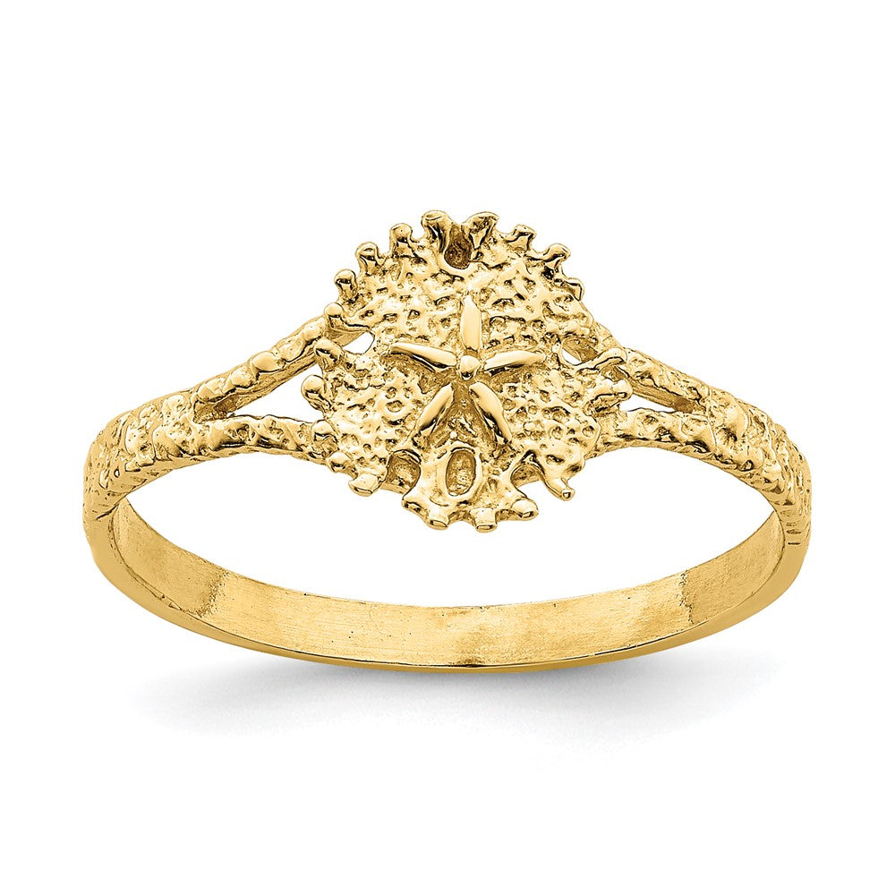 14K Gelbgold Sanddollar-Ring mit texturierter Oberfläche